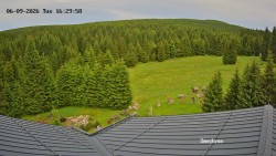 Směďava, Černý vrch