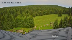 Směďava, Černý vrch