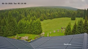 Směďava - Směďava, Černý vrch - 16.6.2026 v 05:15 Směďava - Směďava, Černý vrch - 16.6.2026 v 05:15