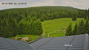 Směďava - Směďava, Černý vrch - 16.6.2026 v 13:45 Směďava - Směďava, Černý vrch - 16.6.2026 v 13:45