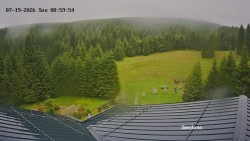 Směďava, Černý vrch
