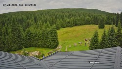Směďava, Černý vrch