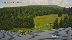 Směďava, Černý vrch