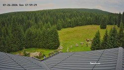 Směďava, Černý vrch