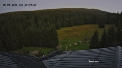 Směďava, Černý vrch