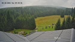 Směďava, Černý vrch
