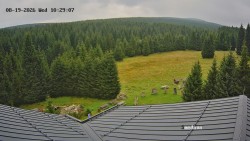 Směďava