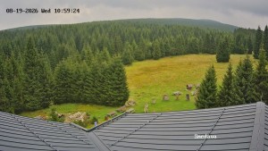 Směďava - Směďava, Černý vrch - 19.8.2026 v 11:00 Směďava - Směďava, Černý vrch - 19.8.2026 v 11:00
