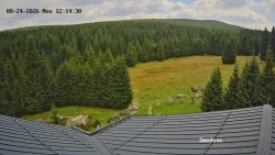 Směďava, Černý vrch