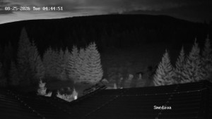 Směďava - Směďava, Černý vrch - 25.8.2026 v 04:45 Směďava - Směďava, Černý vrch - 25.8.2026 v 04:45