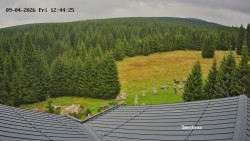 Směďava, Černý vrch