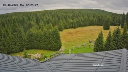 Směďava, Černý vrch