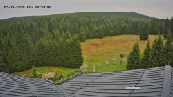 Směďava