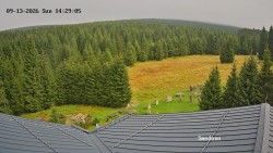 Směďava, Černý vrch