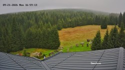 Směďava