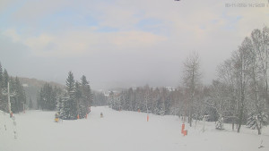 Ski areál Alšovka - Měděnec - Horní část sjezdovek - 20.11.2025 v 14:15 Ski areál Alšovka - Měděnec - Horní část sjezdovek - 20.11.2025 v 14:15