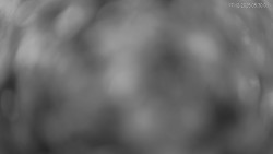 Horní část sjezdovek