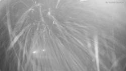 Horní část sjezdovek