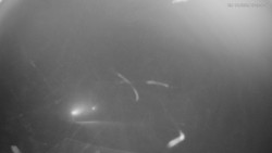 Horní část sjezdovek