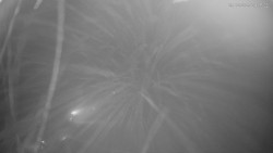 Horní část sjezdovek