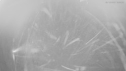 Horní část sjezdovek