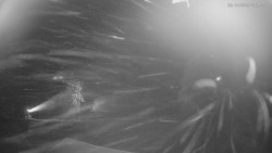 Horní část sjezdovek