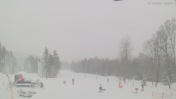 Horní část sjezdovek