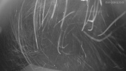 Horní část sjezdovek