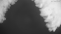 Horní část sjezdovek