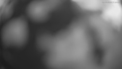 Horní část sjezdovek