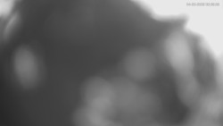 Horní část sjezdovek