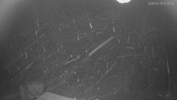 Horní část sjezdovek