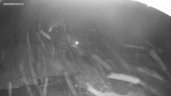 Sjezdovka K Snowparku