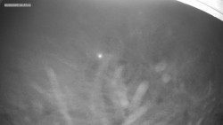 Sjezdovka K Snowparku