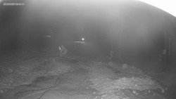 Sjezdovka K Snowparku