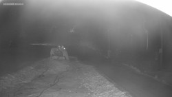 Sjezdovka K Snowparku