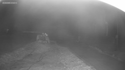 Sjezdovka K Snowparku