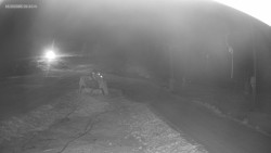 Sjezdovka K Snowparku