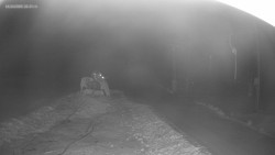 Sjezdovka K Snowparku