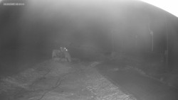 Sjezdovka K Snowparku