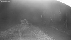 Sjezdovka K Snowparku