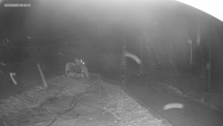 Sjezdovka K Snowparku