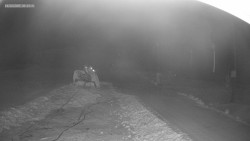 Sjezdovka K Snowparku