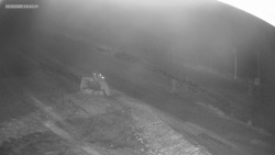 Sjezdovka K Snowparku