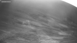 Sjezdovka K Snowparku