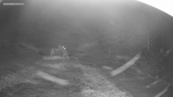 Sjezdovka K Snowparku