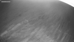 Sjezdovka K Snowparku