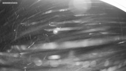 Sjezdovka K Snowparku