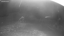 Sjezdovka K Snowparku