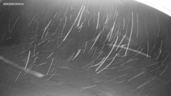 Sjezdovka K Snowparku